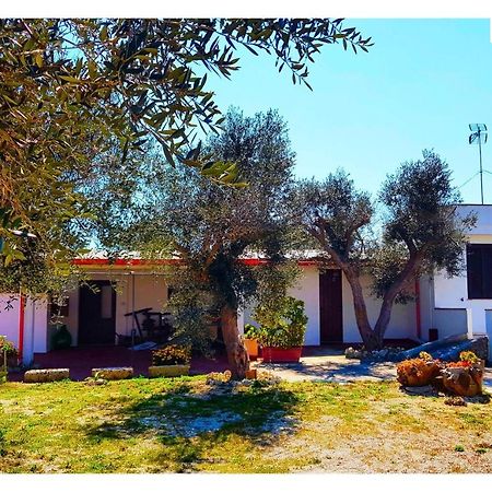Li Catauri Bed & Breakfast Santa Cesarea Terme Ngoại thất bức ảnh